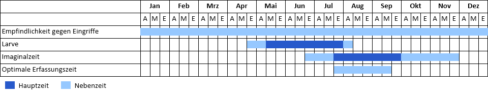 Rote Keulenschrecke Phänogramm