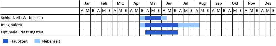 Nordische Moosjungfer Phänogramm