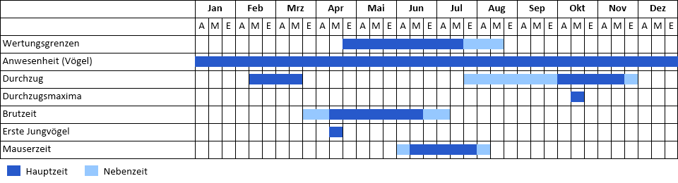 Krickente Phänogramm