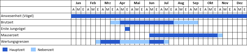 Rebhuhn Phänogramm