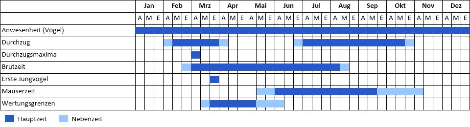 Kiebitz Phänogramm