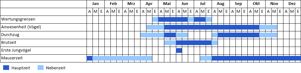 Turteltaube Phänogramm