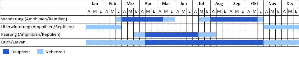 Nördlicher Kammmolch Phänogramm